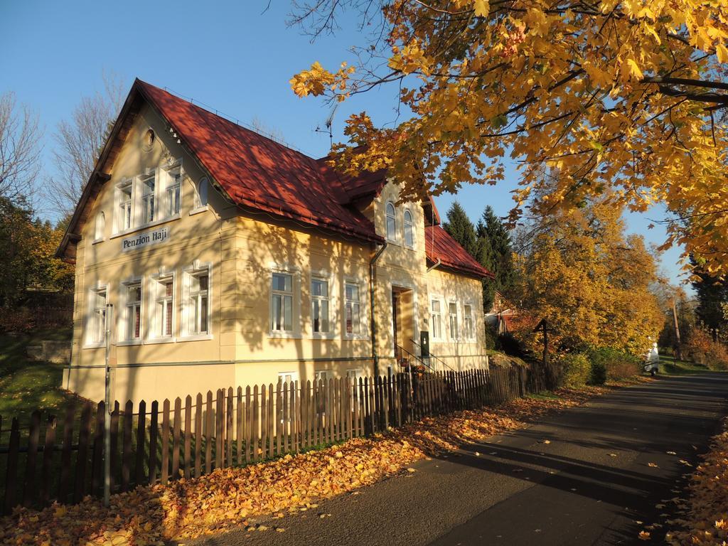 Penzion Hají Janov nad Nisou Exterior foto